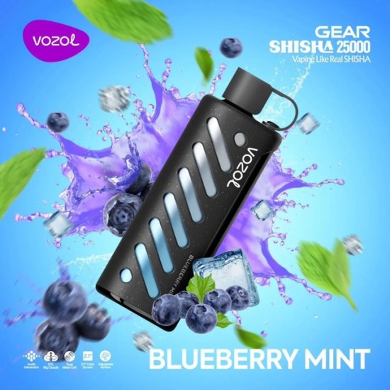 Vozol Gear 25000 | Blueberry Mint