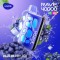 Vozol Rave 40000 | Blueberry Ice